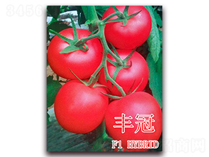 �S��-���ѷN��-��ʢ�r(n��ng)�I(y��)