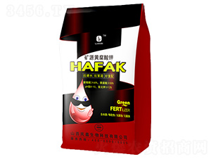 �VԴ�S�����-��������