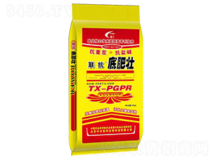 �࿹�����ЙC(j��)��-(li��n)���׷ʉ�-�Ÿ�����