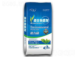 ΢�������-�뷱����