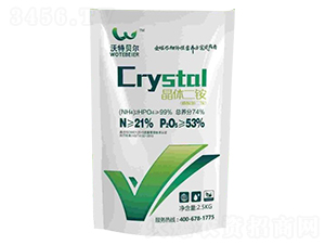 ���w���@-����ؐ��-���r�|��