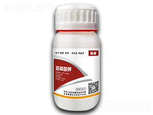 �������-����