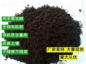 �l(f��)�ͼ���S�ЙC(j��)����-���|�ʘI(y��)