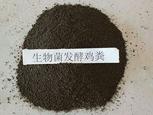 ������l(f��)���u�S-���|�ʘI(y��)