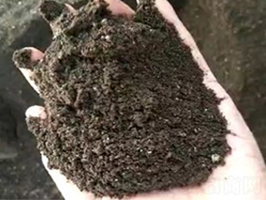 �l(f��)�ͼ��u�S-���|�ʘI(y��)