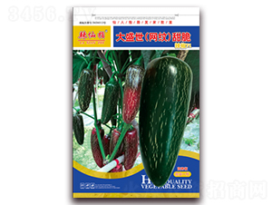 ��ʢ�����W(w��ng)�y�����-�����N��-�A�~