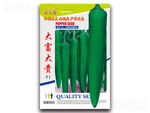 �󸻴��F-�����N��-�A�~