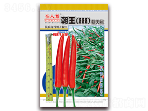 ����888-�����N��-�A�~