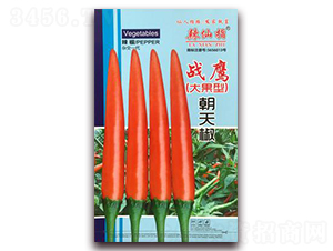 ��(zh��n)��-�����N��-�A�~