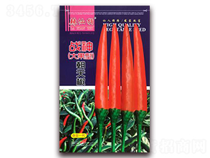 ��(zh��n)��-�����N��-�A�~