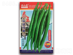 ̩��-�����N��-�A�~