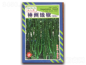 ���ݾ���-�����N��-�A�~