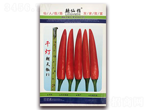 ǧ��-�����N��-�A�~