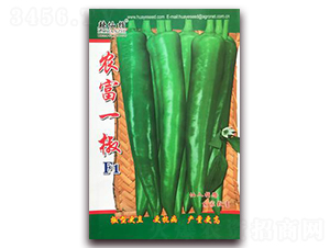 �r(n��ng)��һ��-�����N��-�A�~