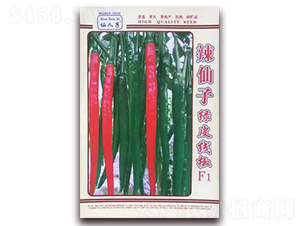 ������-�����N��-�A�~