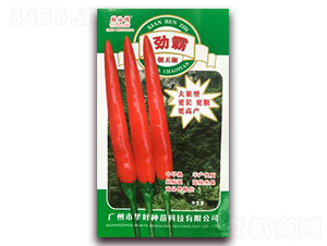 �Ű�-�����N��-�A�~