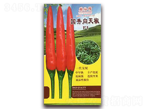 ����-�����N��-�A�~