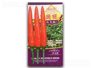 ����-�����N��-�A�~