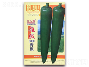 ����3000�ཷ-�����N��-�A�~