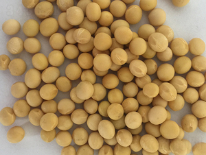 �|��29̖-�󶹷N��-�|��