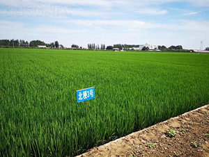 ����3̖-ˮ���N��-�|��