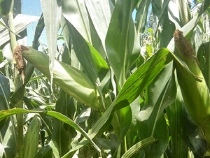 �|��70-���׷N��-�|��