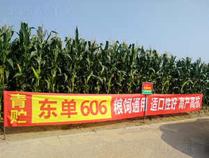 �|��606-���׷N��-�|��