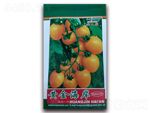 �S�𺣰�-���ѷN��-�A�~