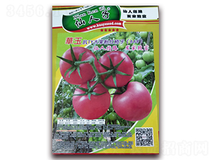 �A����-���ѷN��-�A�~