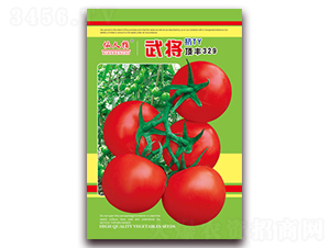 �䌢��S329-���ѷN��-�A�~