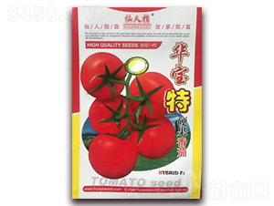 �A����Ӳ������-���ѷN��-�A�~