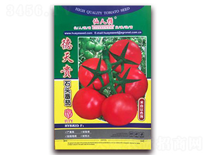 �����F-���ѷN��-�A�~