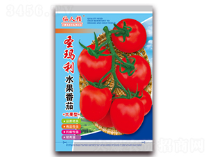 ʥ����ˮ������-���ѷN��-�A�~