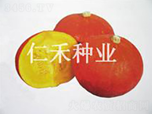 �t���|���������Ϲϣ�-�ϹϷN��-�ʺ̷N�I(y��)