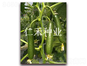 ���񣨸߿�������-�S�ϷN��-�ʺ̷N�I(y��)