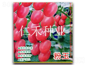 ����-���ҷ��ѷN��-�ʺ̷N�I(y��)