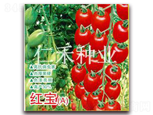 �t����A��-���ҷ��ѷN��-�ʺ̷N�I(y��)