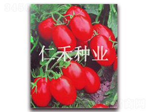 �t����B��-���ҷ��ѷN��-�ʺ̷N�I(y��)