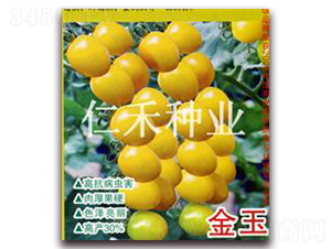 ����-���ҷ��ѷN��-�ʺ̷N�I(y��)