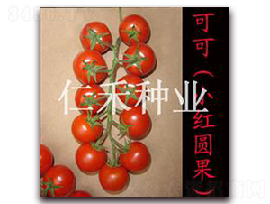 �ɿɣ�С�t�A����-���ҷ��ѷN��-�ʺ̷N�I(y��)