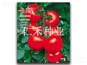 ����-�t�����ѷN��-�ʺ̷N�I(y��)