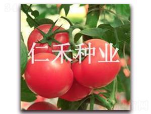 �ϊW�ɡ��۹����ѷN��-�ʺ̷N�I(y��)