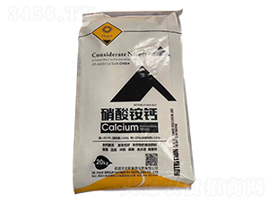 �����@�}-ǰ�طʘI(y��)