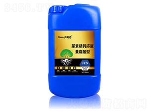 �S�������������}��Һ-�е�-���S����