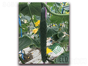 �S�l1̖(h��o)-�S�ϷN��-�S�ǷN�I(y��)