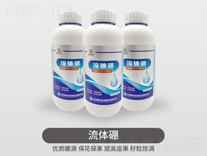 ���w��-���S��Դ��