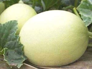 �y��11̖(h��o)-��ϷN��-�S�ǷN�I(y��)