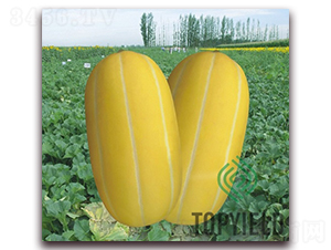 �S��9̖(h��o)-��ϷN��-�S�ǷN�I(y��)