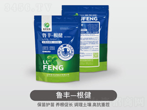 ���S����-���S��Դ��