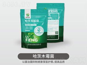 1000g����ľù��-���S��Դ��